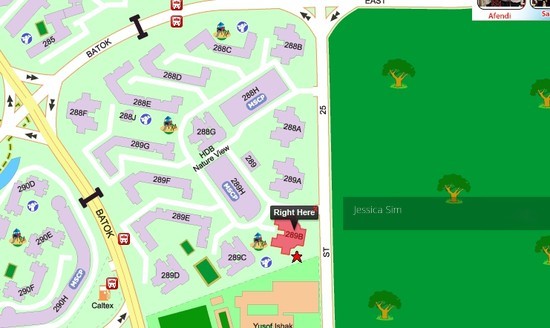 Blk 289B Bukit Batok Street 25 (Bukit Batok), HDB Executive #151807742
